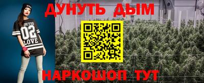 гидра Кандалакша