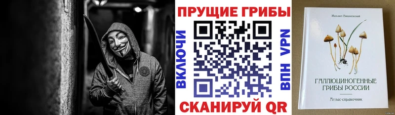 даркнет сайт  Нижний Тагил  Галлюциногенные грибы мицелий 