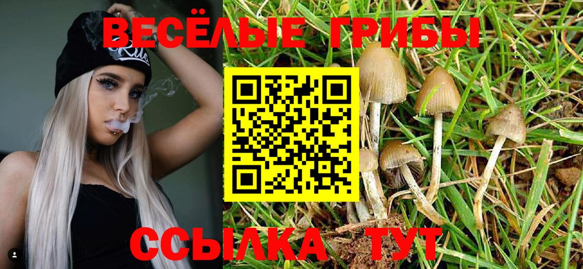 Псилоцибиновые грибы GOLDEN TEACHER  наркота  Галлюциногенные грибы Magic Shrooms  Нижний Тагил  Вход с VPN 