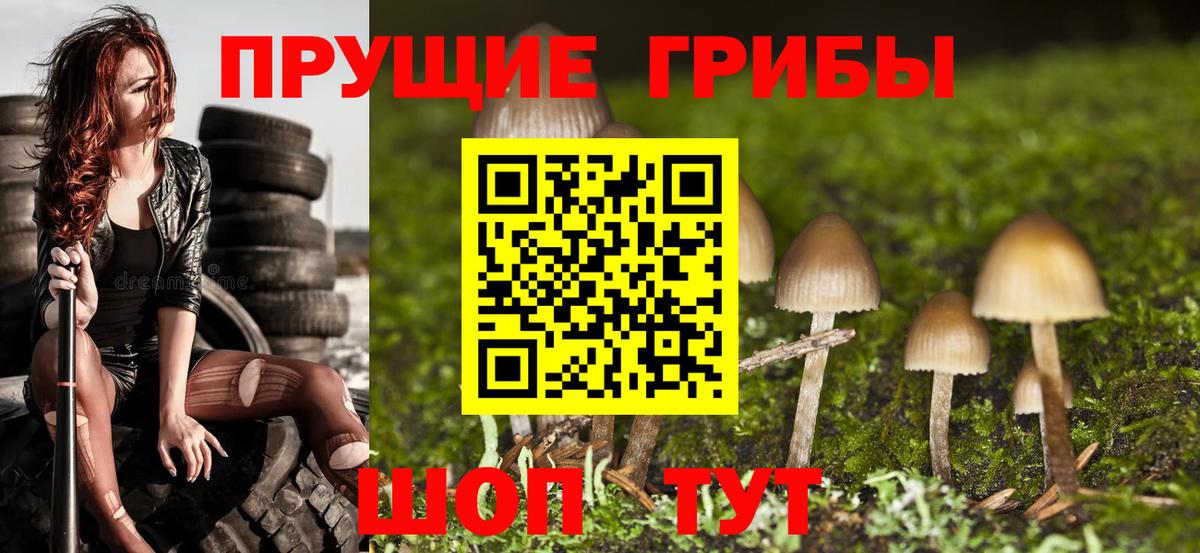 Псилоцибиновые грибы прущие грибы Нижний Тагил